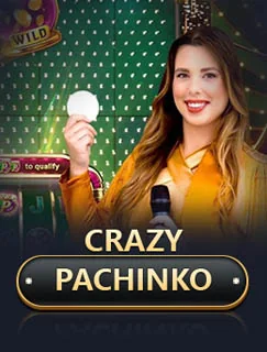 Crazy Pachinko by Evolution - Arcade games cover image