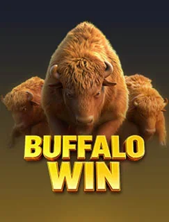 Buffalo Win by PG SOFT - Arcade games cover image